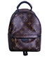 Palm Springs Backpack, front view